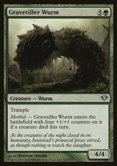 Gravetiller Wurm